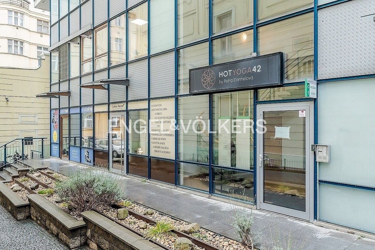 Obchodní prostory, Praha - Vinohrady, okres Praha 3, Hlavní město Praha, 360 m²