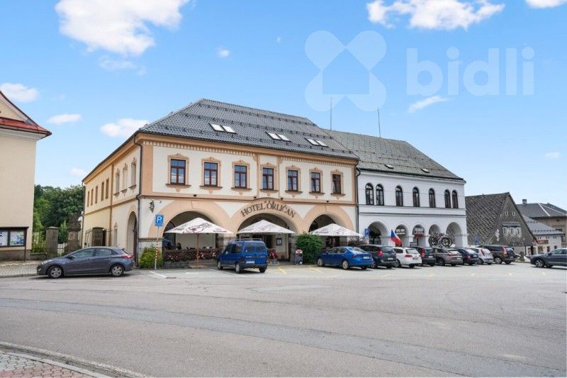 Ubytovací zařízení, náměstí T. G. Masaryka 102, Rokytnice v Orlických horách, 1 m²