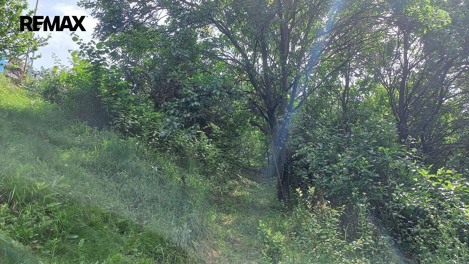 Zahrada · Bílovice nad Svitavou, okres Brno-venkov, Jihomoravský kraj - 4