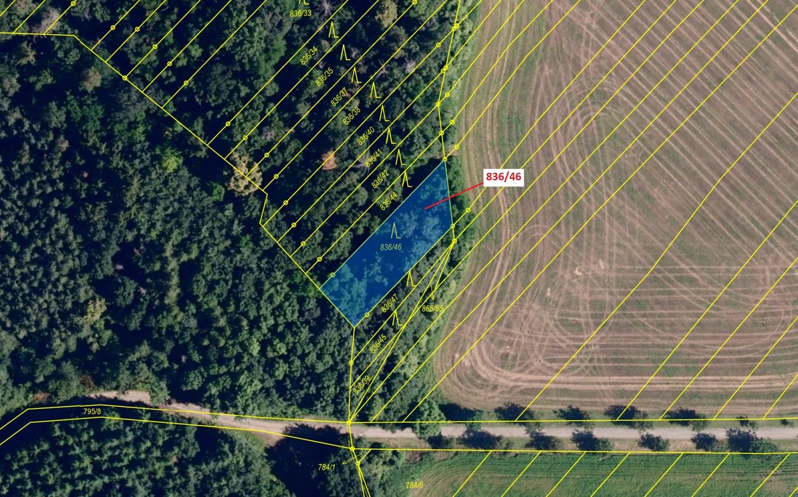 Lesy, Ketkovice - 2