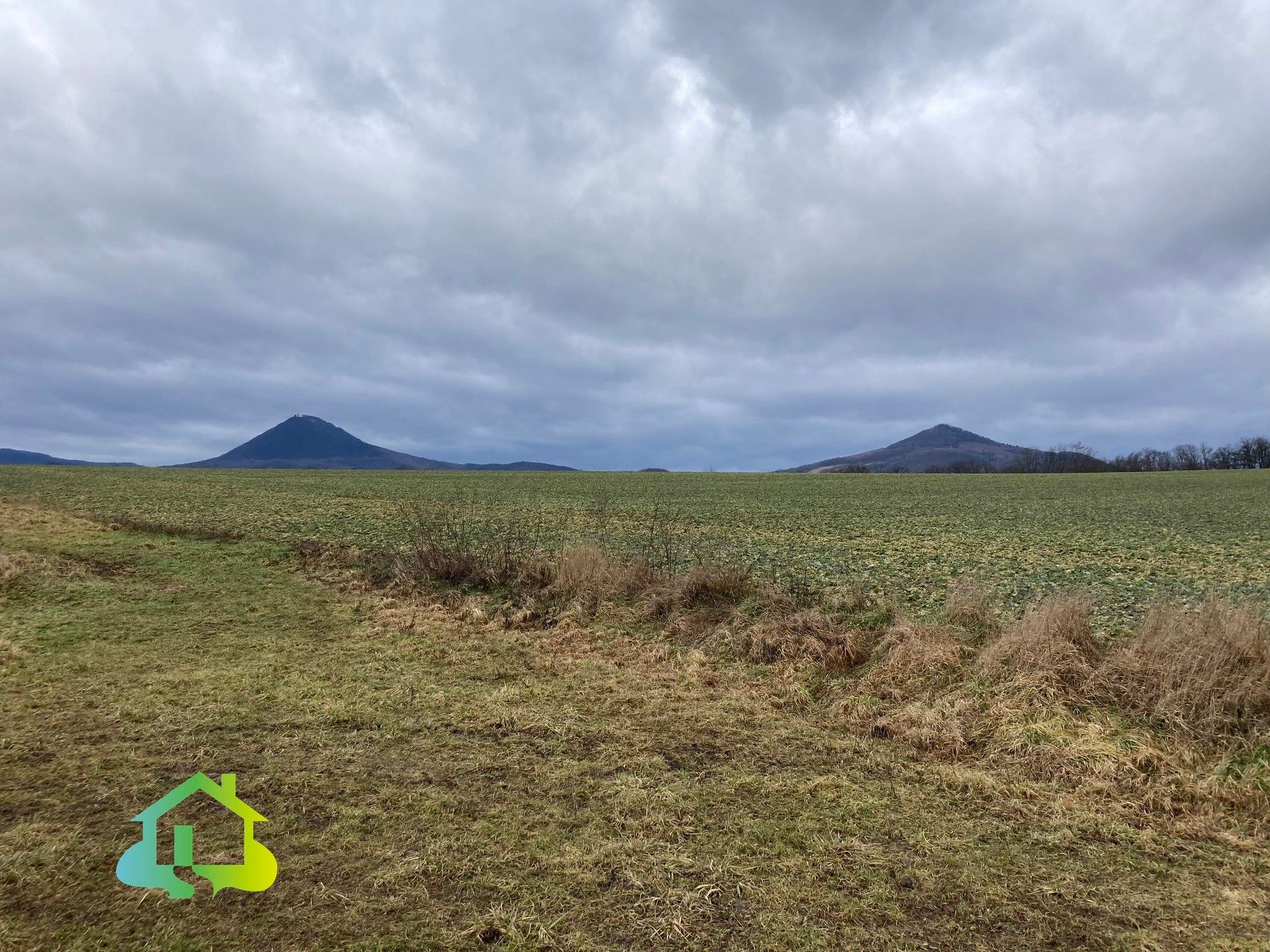 Prodej pozemek pro bydlení - Oparno, Velemín, 2 226 m²