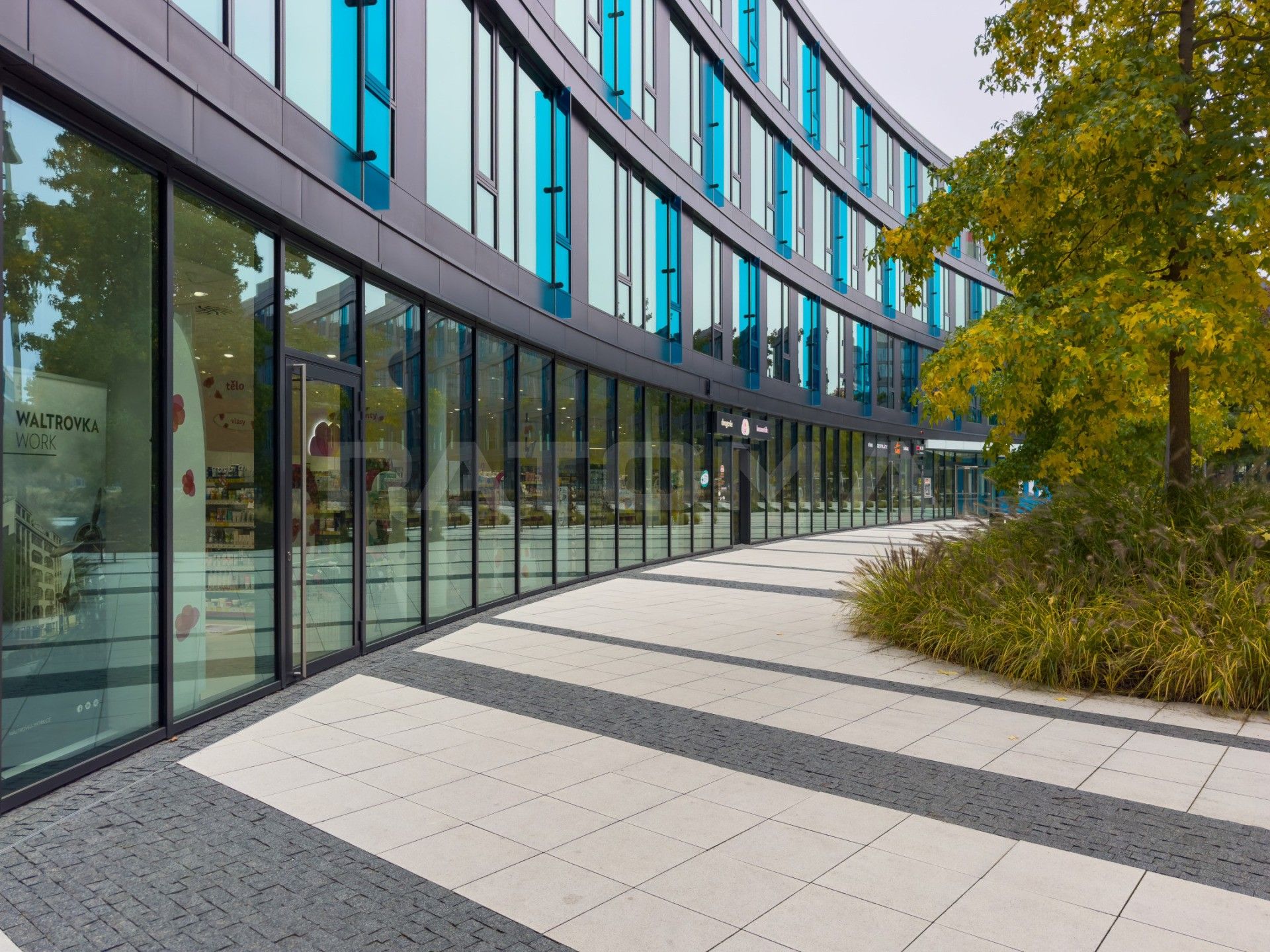 Pronájem obchodní prostory - U Trezorky, Praha, 807 m²