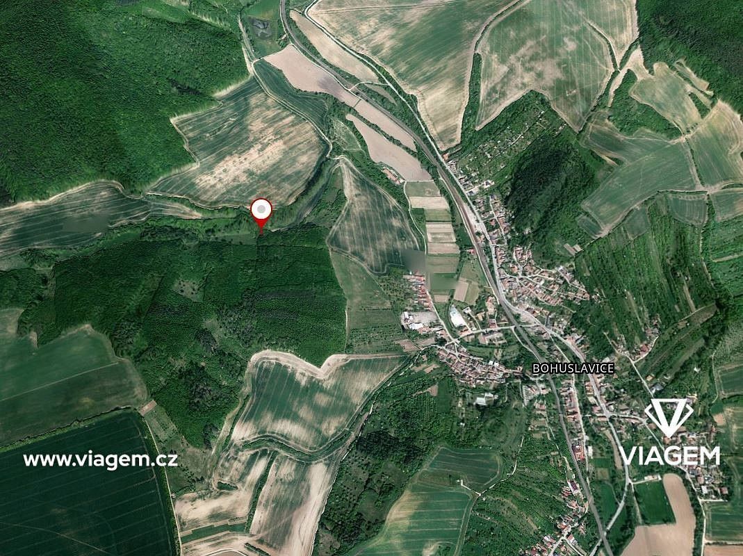 Les · Kyjov, okres Hodonín, Jihomoravský kraj - 4