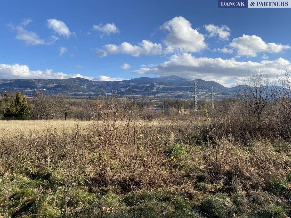 Pozemky pro bydlení, Frýdlant nad Ostravicí, 739 11