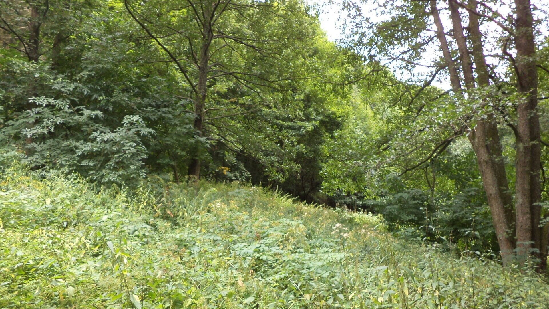 Pozemek pro bydlení · 947 m² · Svoboda nad Úpou - 4