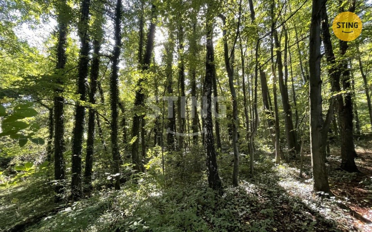 Prodej les - Hnojník, 9 789 m²