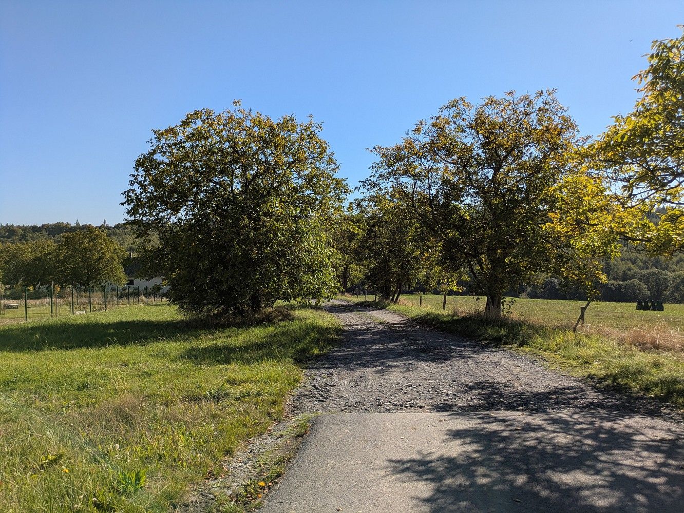 Pozemky pro bydlení, Březová - Jančí, okres Opava - 2