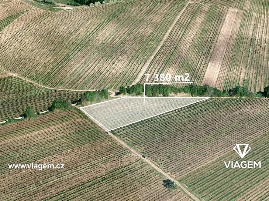 Zemědělské pozemky, Velké Bílovice, okres Břeclav, Jihomoravský kraj