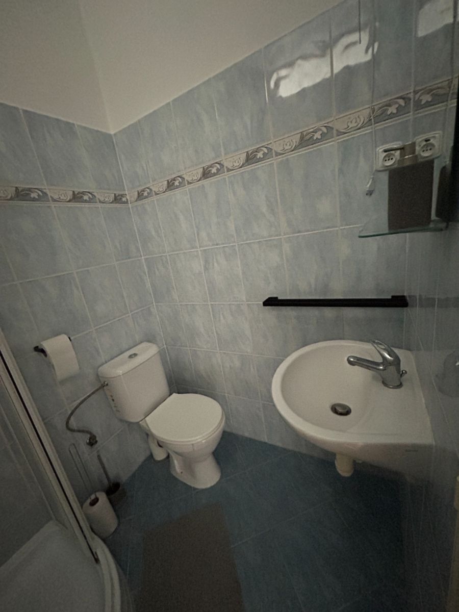 Pronájem byt 1+kk - Dělnická, České Budějovice - České Budějovice 5, Jihočeský kraj, 34 m² - 5