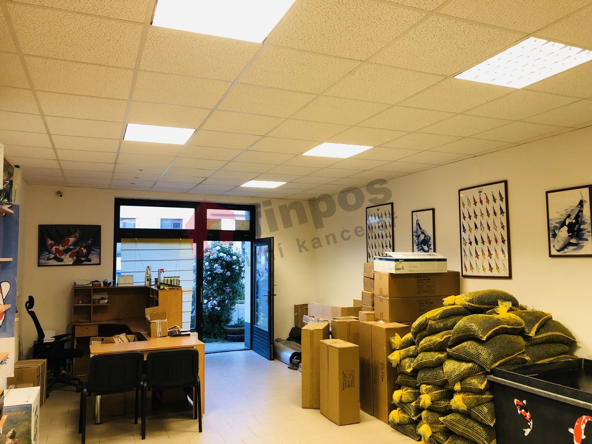 Pronájem obchodní prostory - Sobolova 146, Brno Bohunice, 79 m² - 5
