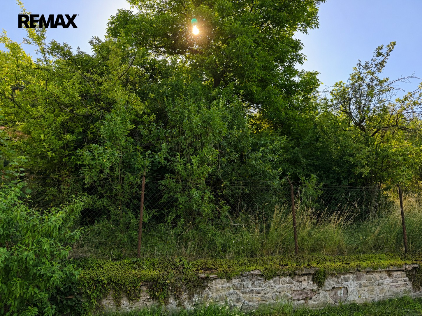 Prodej pozemek pro bydlení - Ivančice, 559 m² - 5