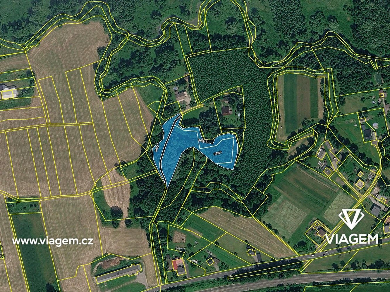 Les · Petrovice u Karviné, okres Karviná, Moravskoslezský kraj - 4