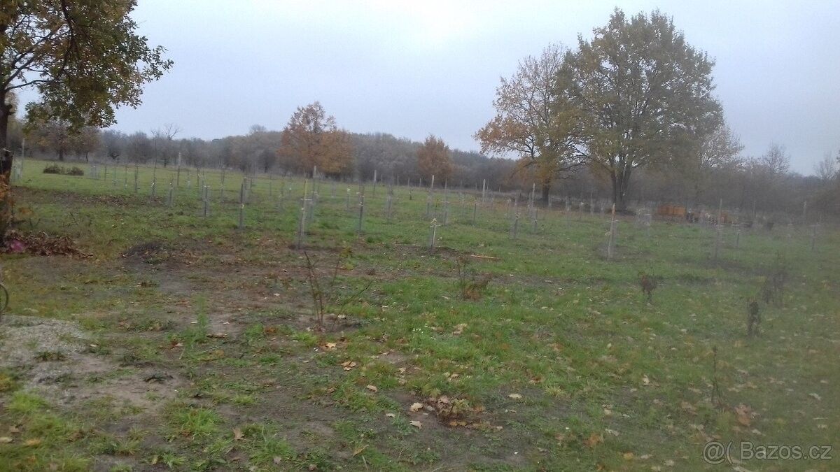 Prodej pozemek pro bydlení - 987 65, Slovensko