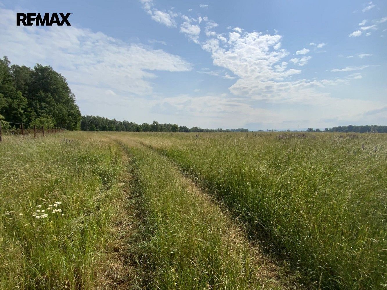 Louka · Skalná, okres Cheb, Karlovarský kraj - 3