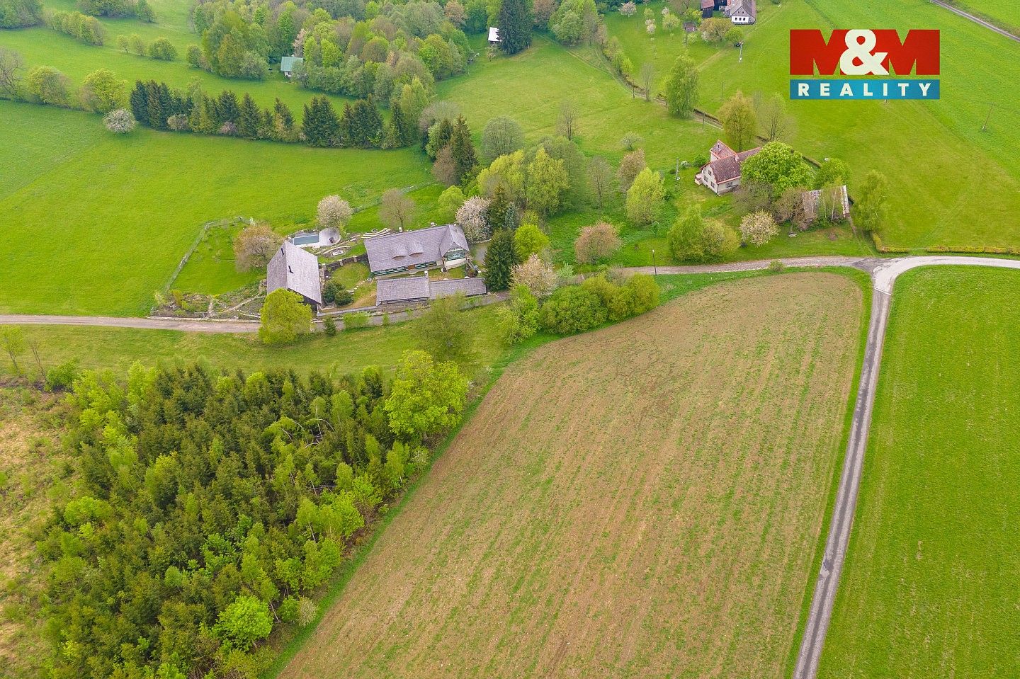 Louka · Jestřabí v Krkonoších, okres Semily, Liberecký kraj - 4