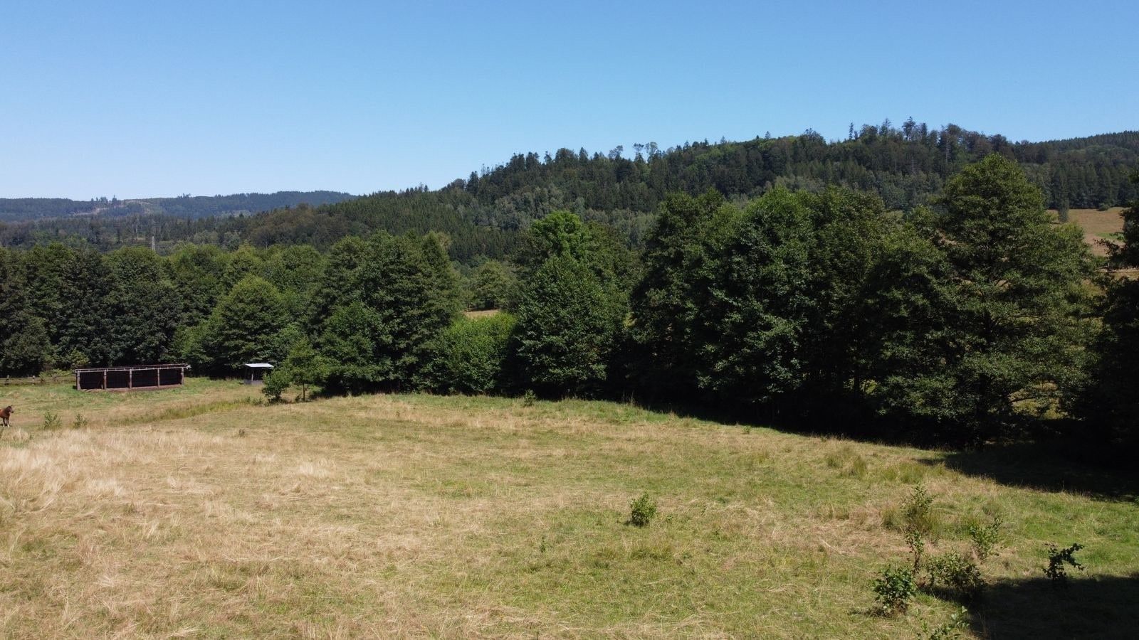 Pozemky pro bydlení, Olešnice v Orlických horách, 3 446 m² - 2