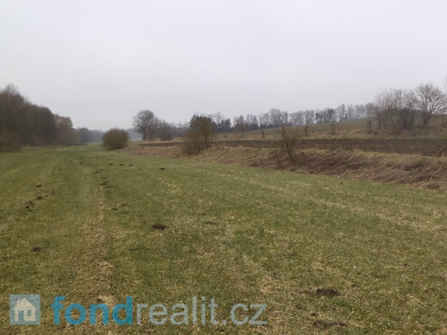 Zahrady, Trhový Štěpánov, 705 m² - 2