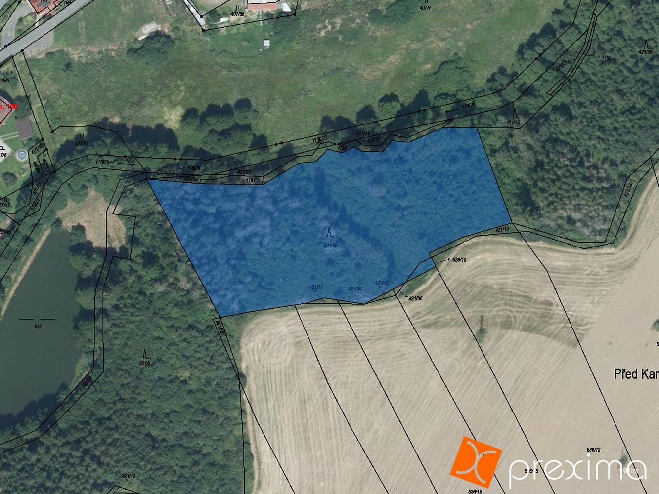 Prodej les - Přibyslav, okres Havlíčkův Brod, Kraj Vysočina - 1