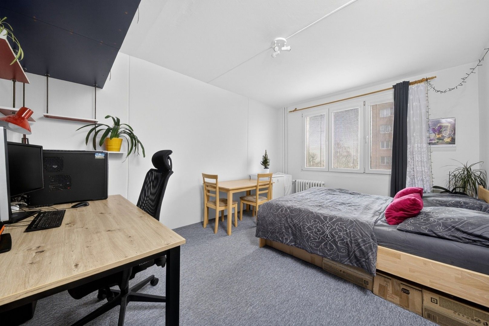 1+1, Skupova 2576, Plzeň, 36 m²