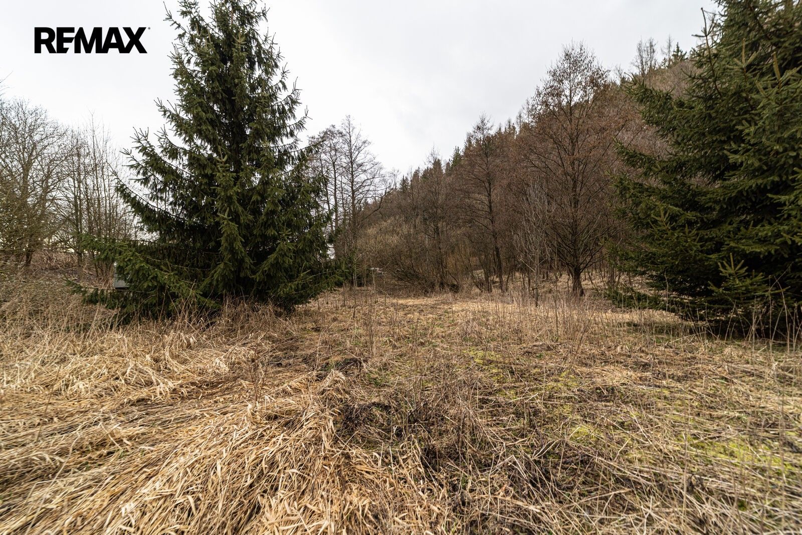 Pozemky pro bydlení, Červená Voda, 949 m² - 2