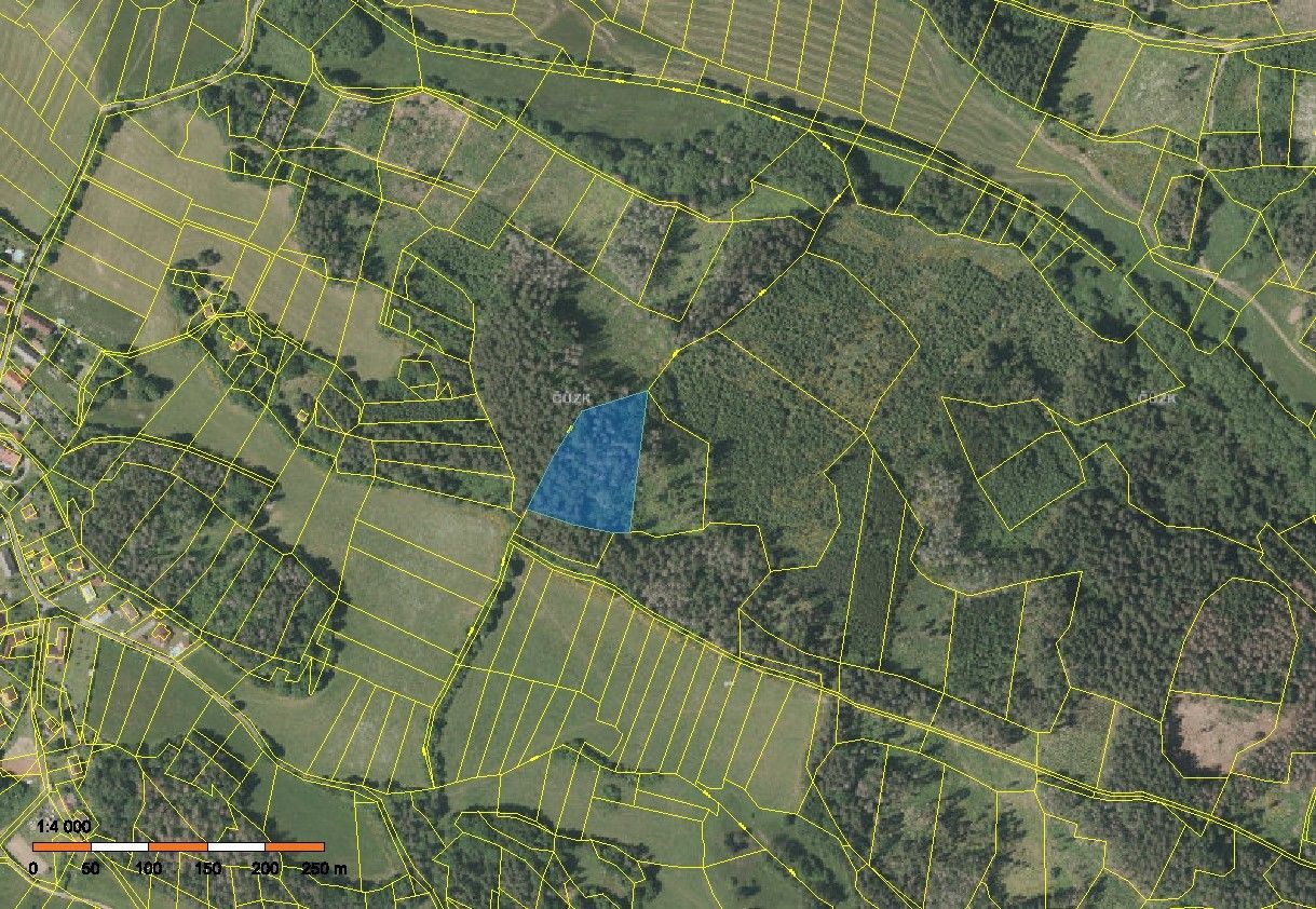 Lesy, Velenovy, Nalžovské Hory, 7 786 m²