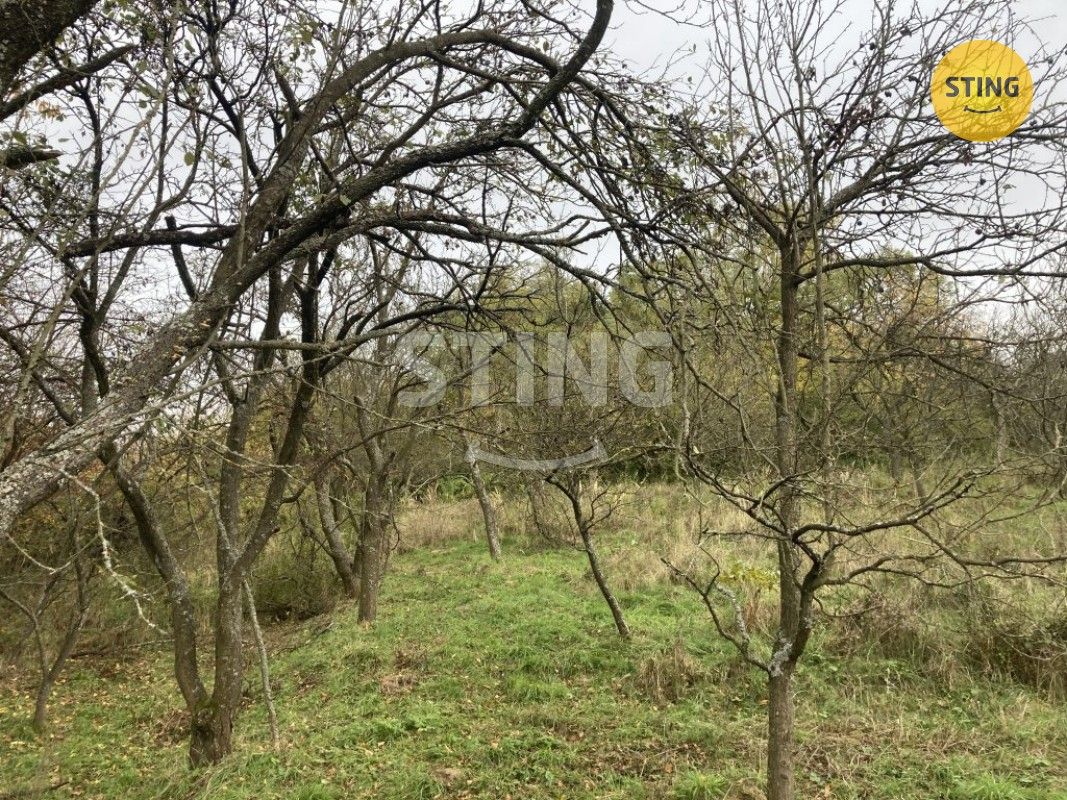 Ostatní, Blišice, Koryčany, 4 m²