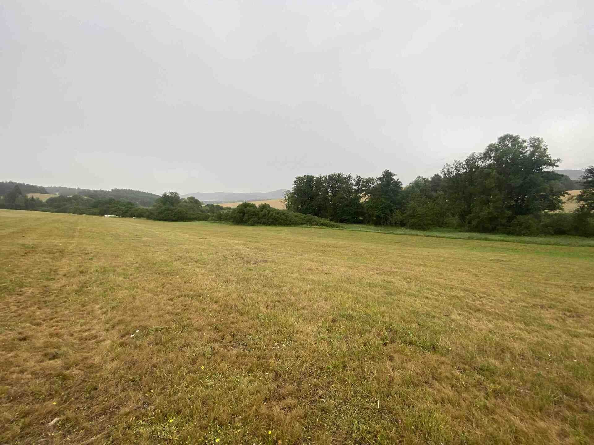 Zemědělský pozemek · 22 978 m² · Rabí Bojanovice - 3