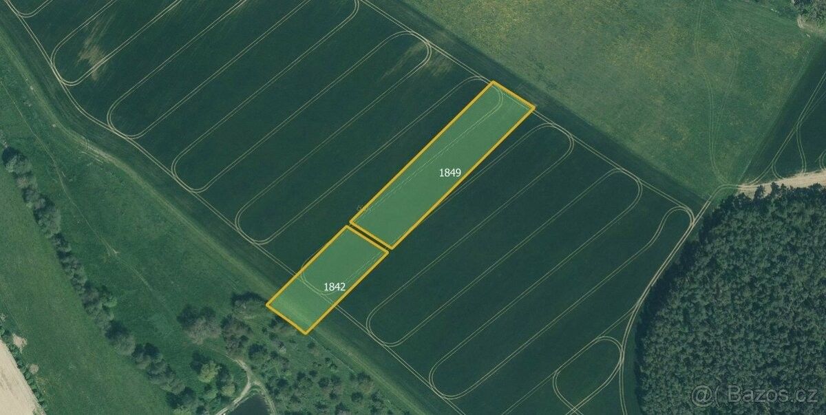 Prodej pozemek pro bydlení - Biřkov, 334 01