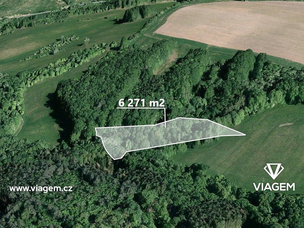 Lesy, Velký Ořechov, okres Zlín, Zlínský kraj