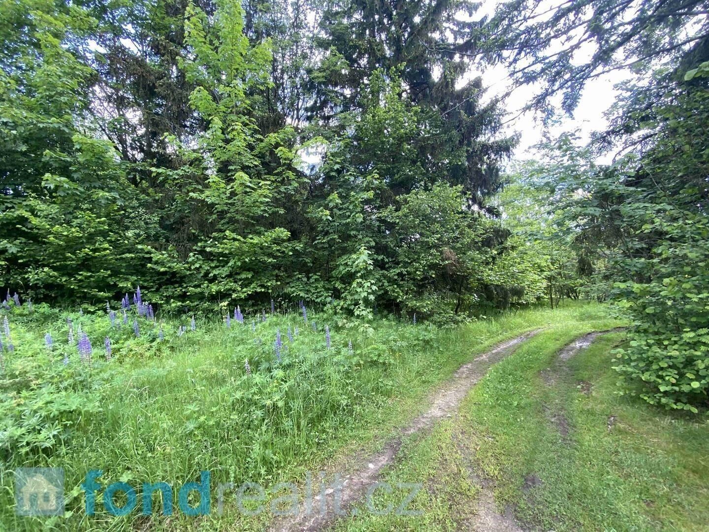 Prodej pozemek pro bydlení - Slavonice, 2 m²