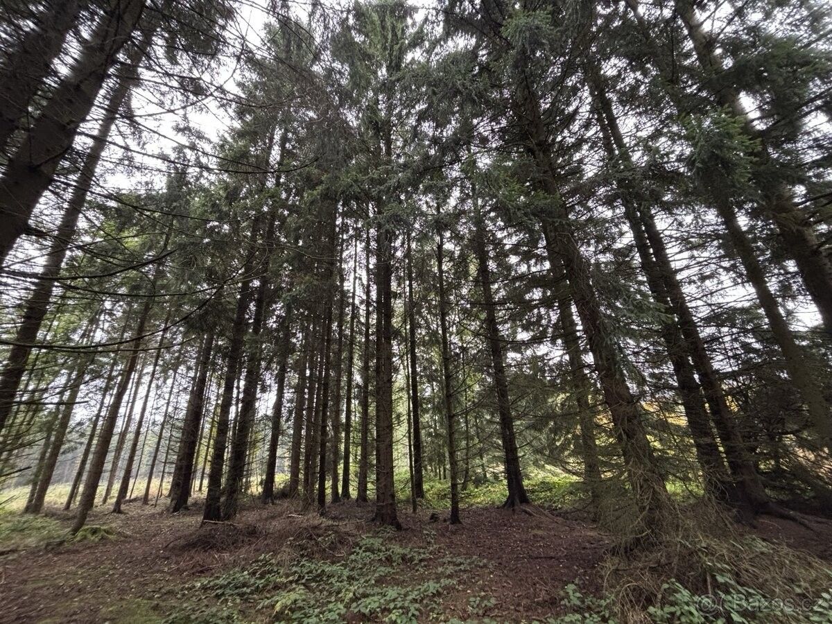 Pozemky pro bydlení, Nové Mitrovice, 335 63