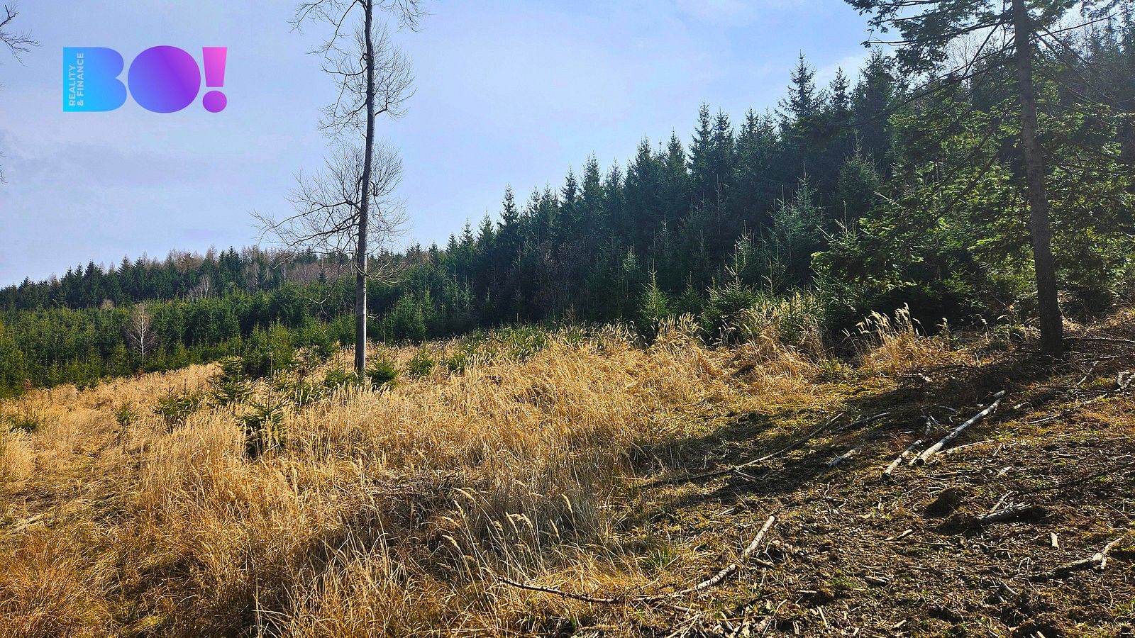 Prodej les - Jasenná, okres Zlín, Zlínský kraj - 5