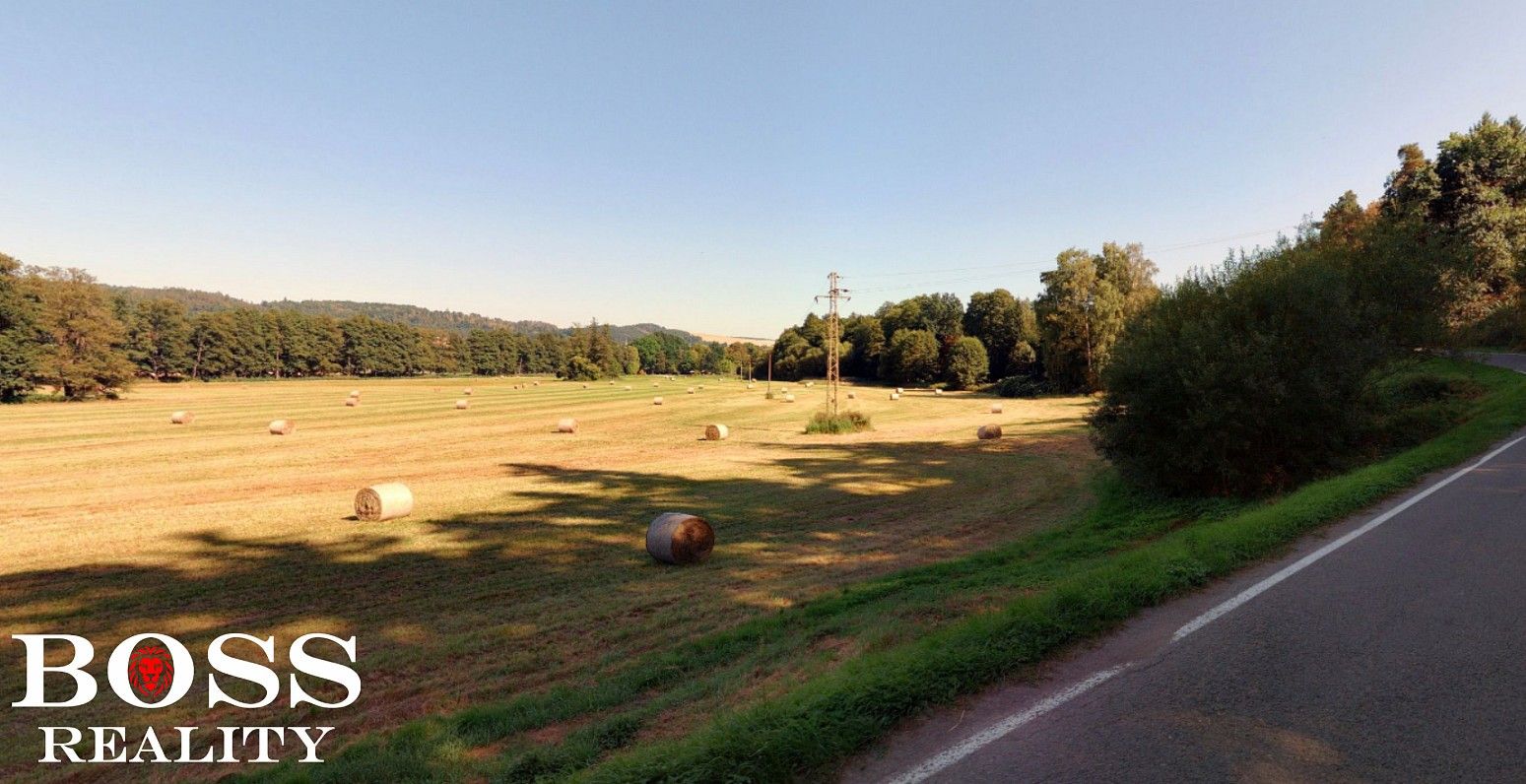 Louka · Plasy, okres Plzeň-sever, Plzeňský kraj - 3