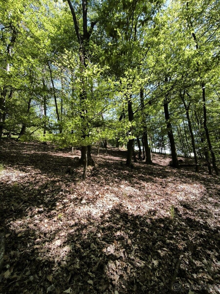 Pozemky pro bydlení, Zábřeh, 789 01