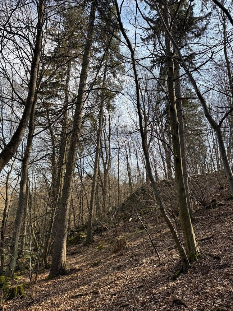 Ostatní, Louňovice pod Blaníkem - Podomí, okres Benešov, Středočeský kraj - 1