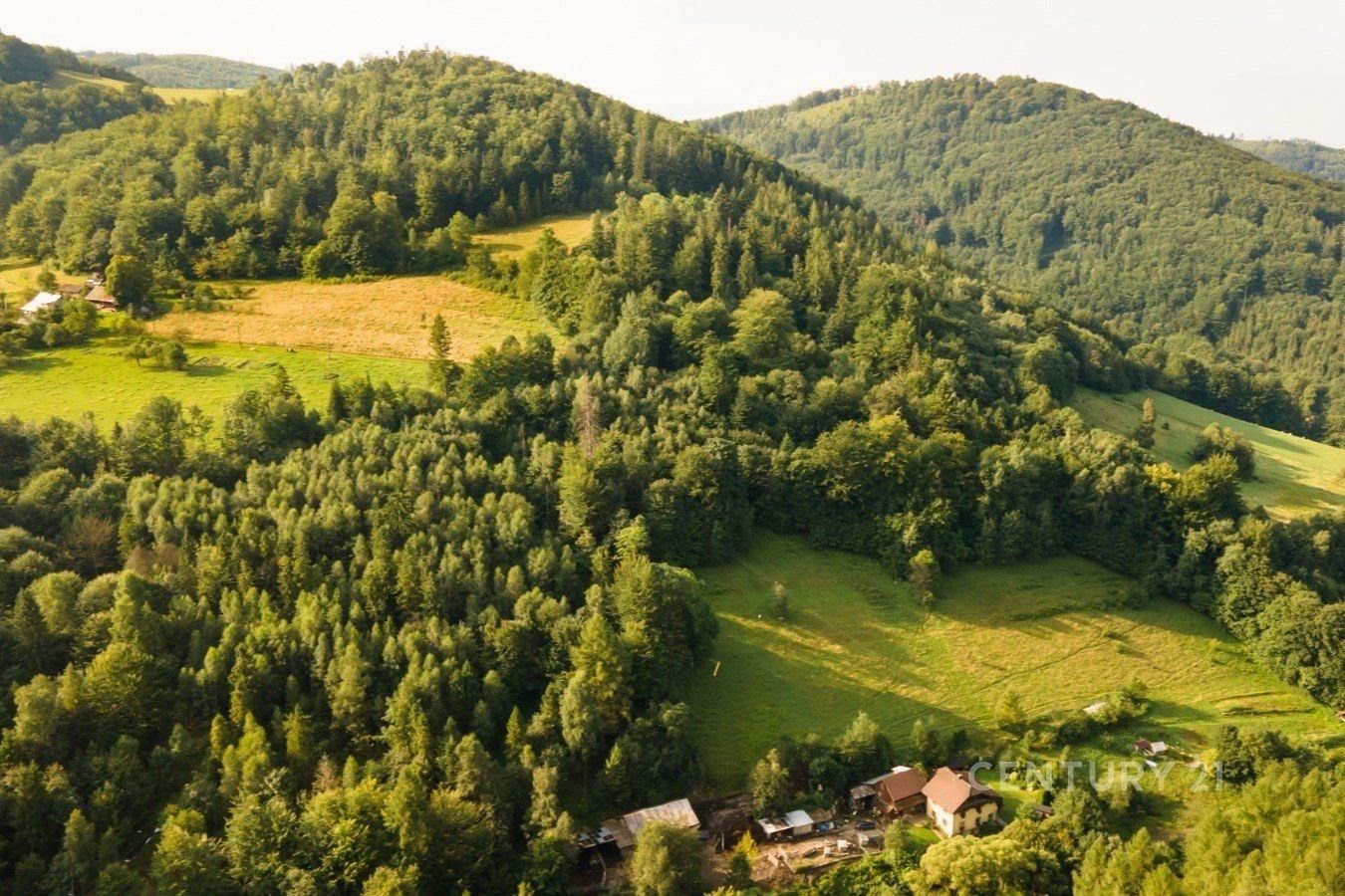 Prodej les - Nýdek - 5