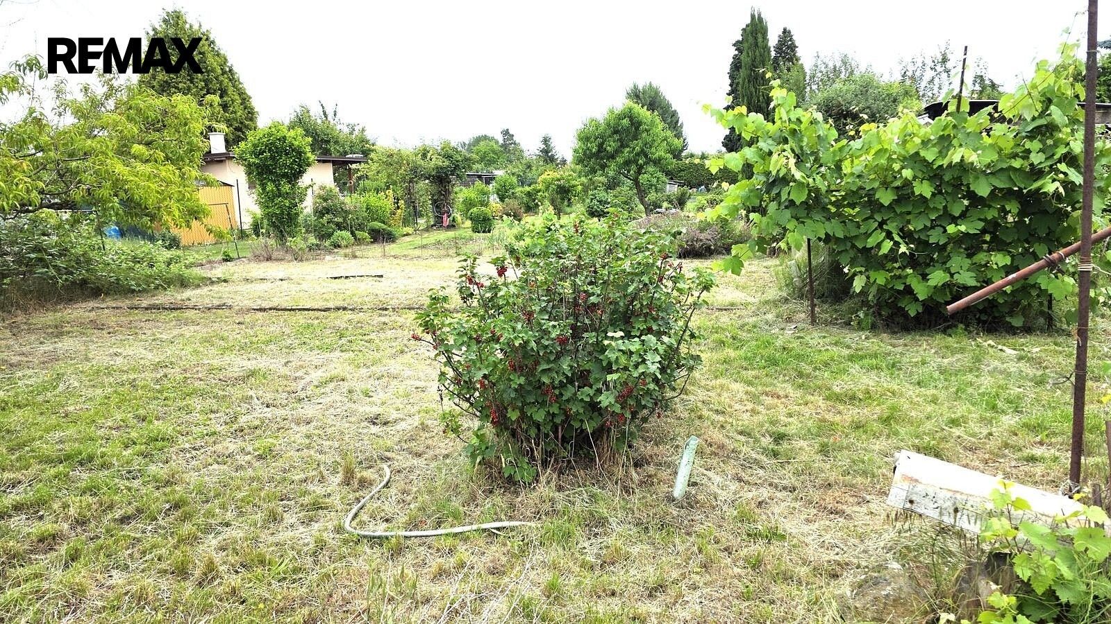 Zahrada · Kralupy nad Vltavou, okres Mělník, Středočeský kraj - 3