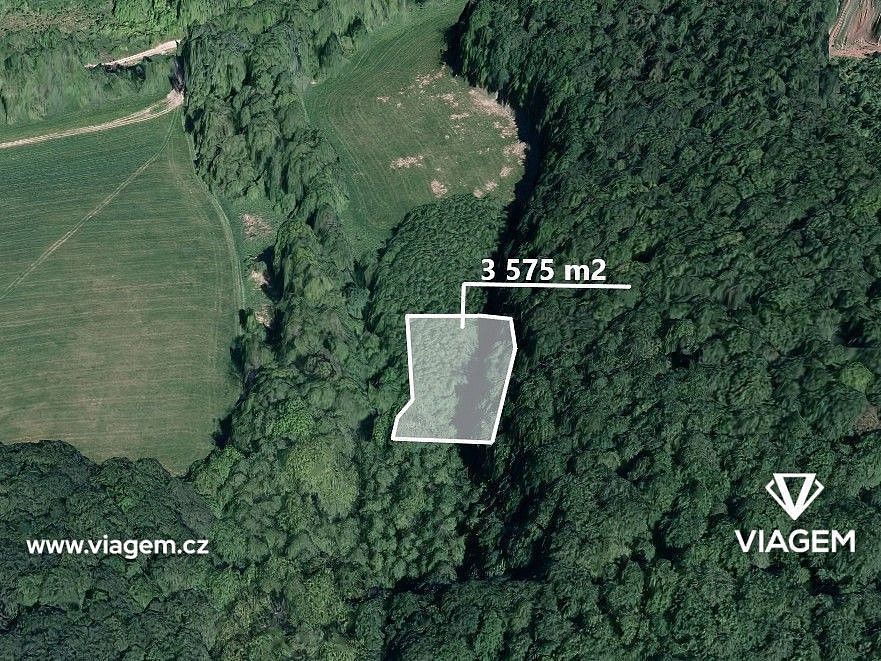 Lesy, Žlutava, okres Zlín, Zlínský kraj