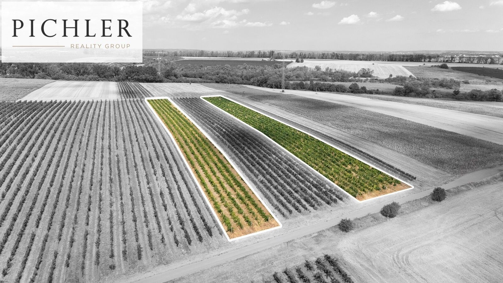 Prodej pozemek - Sedlec, 24 332 m² - 2