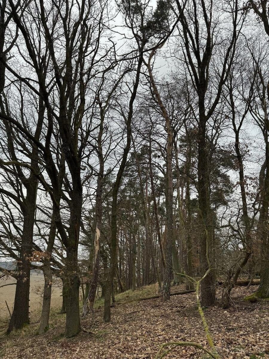 Stavební pozemek, Doksy – další