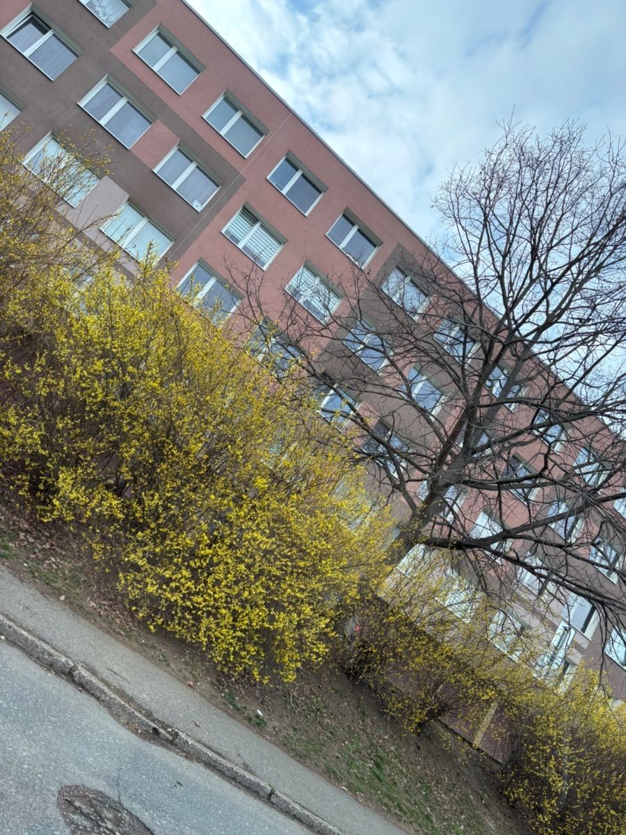 2+kk, Nad Stadionem, Králův Dvůr - Králův Dvůr, Středočeský kraj, 42 m² - 2