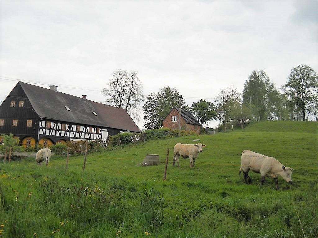 Chata · Raspenava, Liberecký kraj - 3