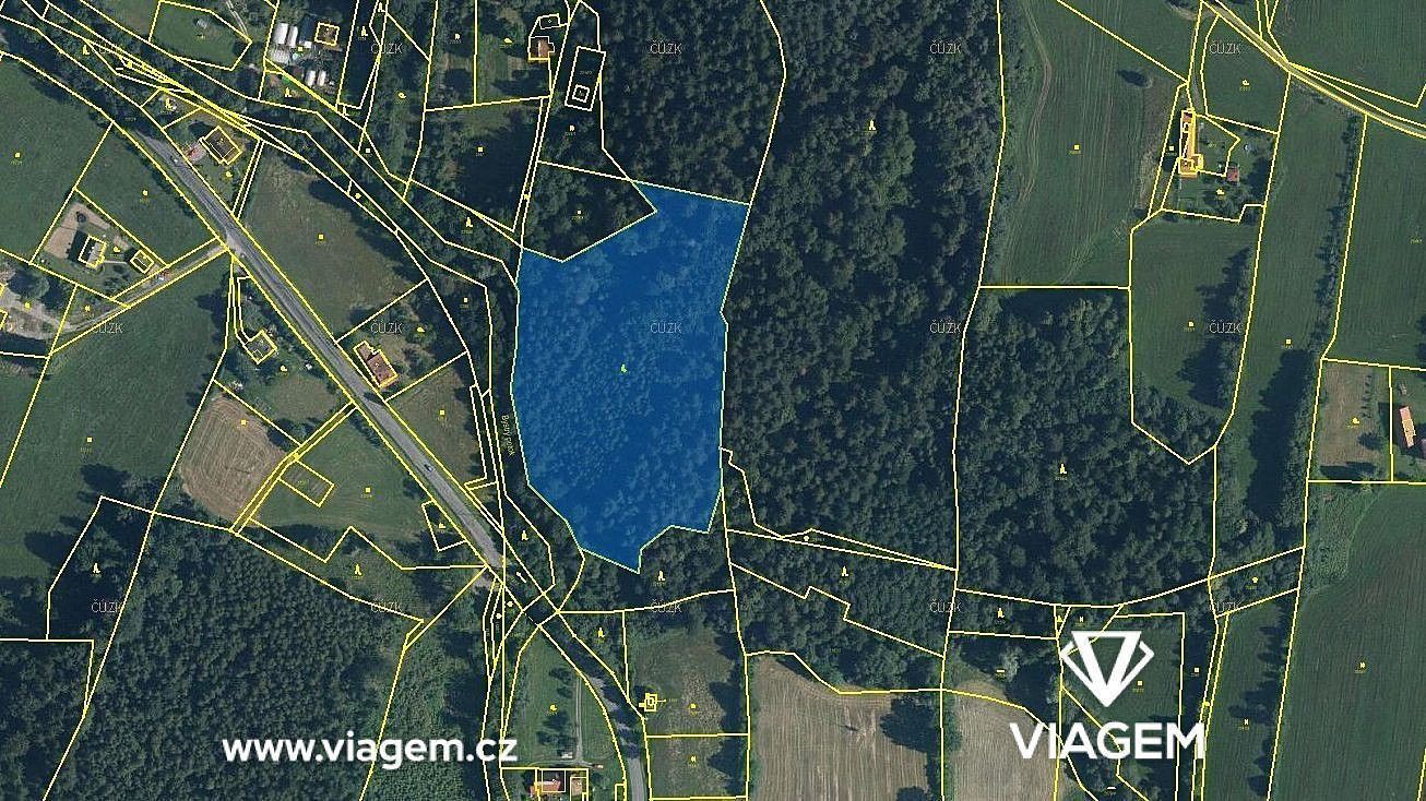 Prodej les - Janovice, okres Frýdek-Místek, Moravskoslezský kraj - 2