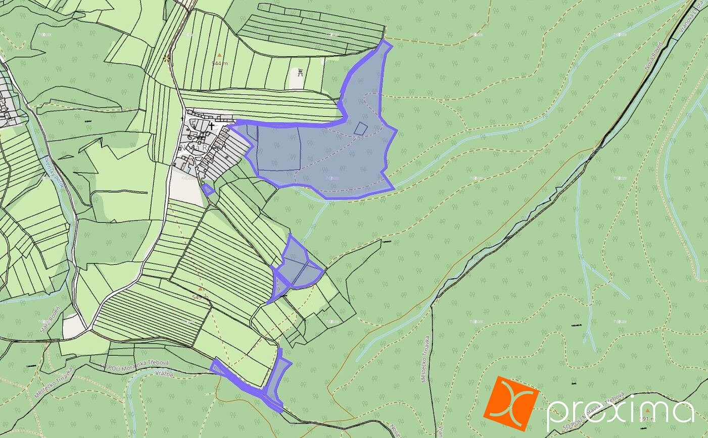 Les · Městečko Trnávka, okres Svitavy - 2
