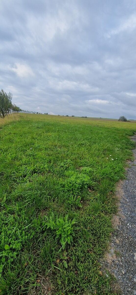 Prodej pozemek pro bydlení - Větřkovice u Vítkova, 747 43