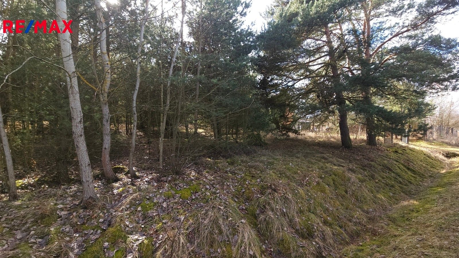 Pozemky pro bydlení, Olešná, 1 m²