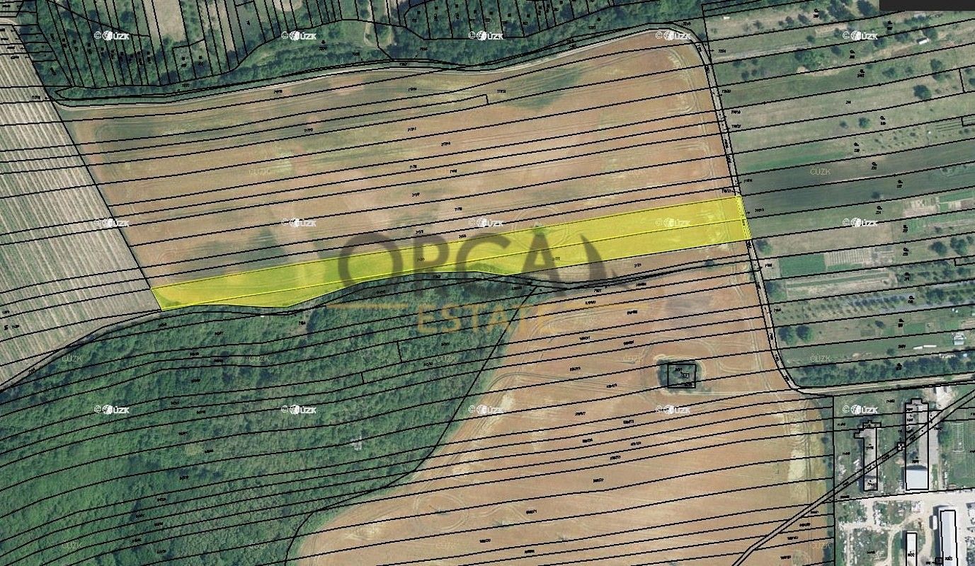 Zemědělské pozemky, Syrovín, okres Hodonín, Jihomoravský kraj