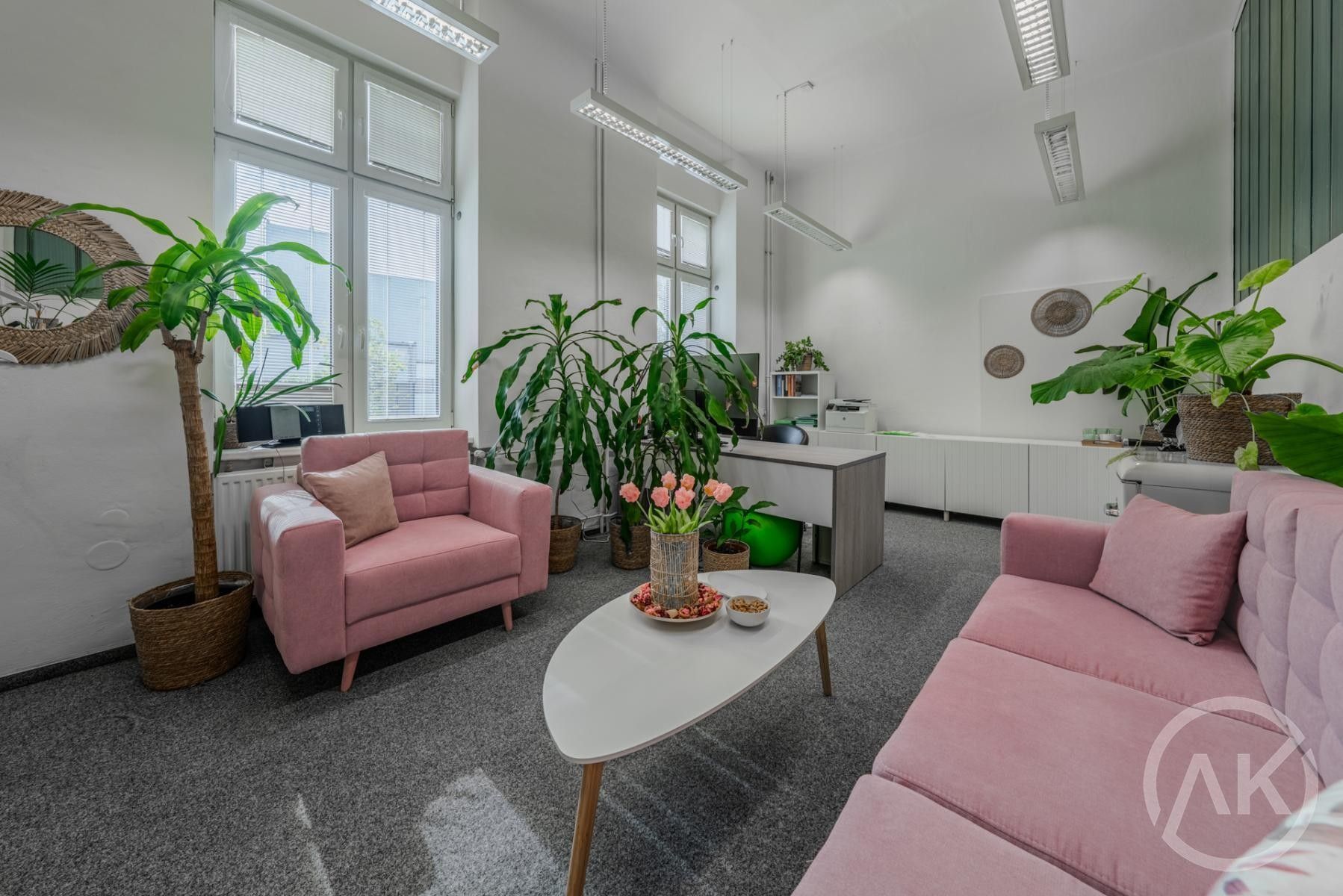 Kanceláře, Ruská, Ostrava, 19 m²