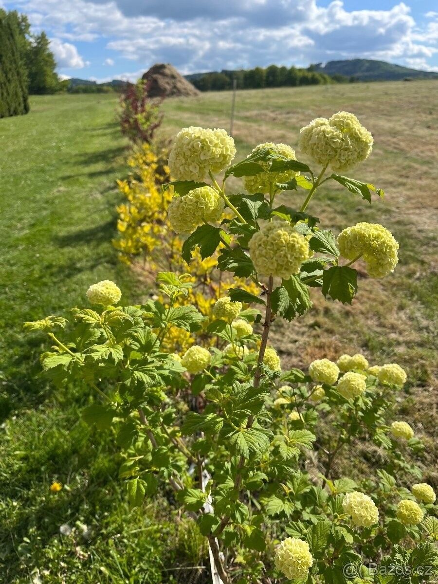 Pozemky pro bydlení, Horní Stropnice, 374 01