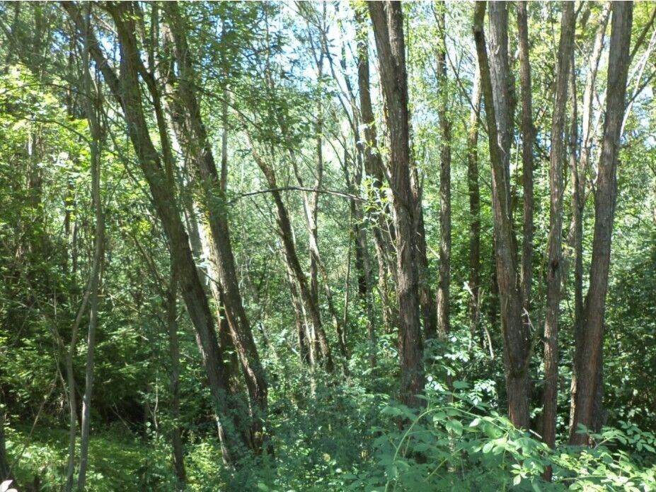 Ostatní, Všeměry, Přídolí, 3 m²